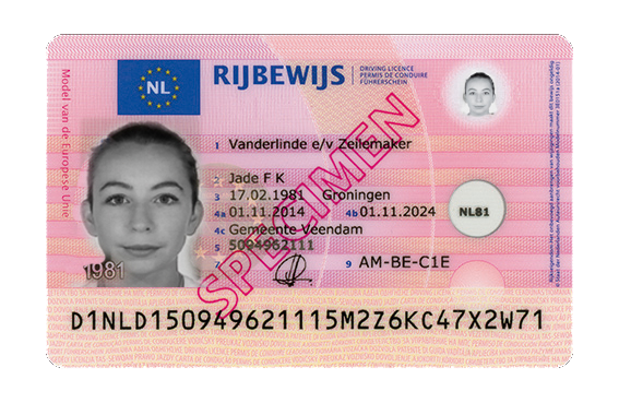 Dutch Driving Licence