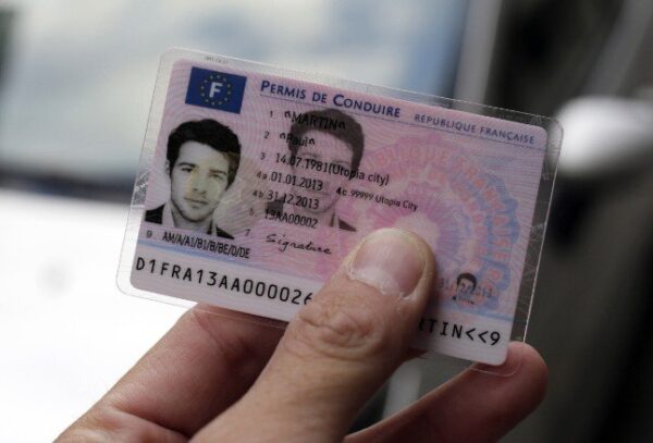 Buy FRENCH DRIVER'S LICENSE